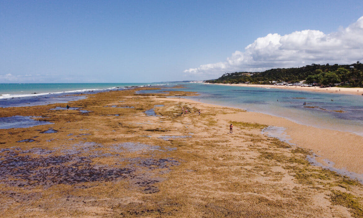 Tábua de Marés - horário da maré baixa em Arraial d'Ajuda, Porto Seguro, Praia do Espelho, Trancoso e Caraíva.